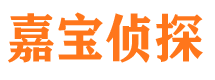 榆树侦探公司